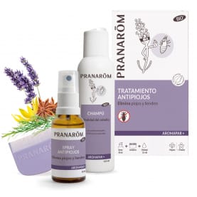 tratamiento-antipiojos-spray-champu-lendrera